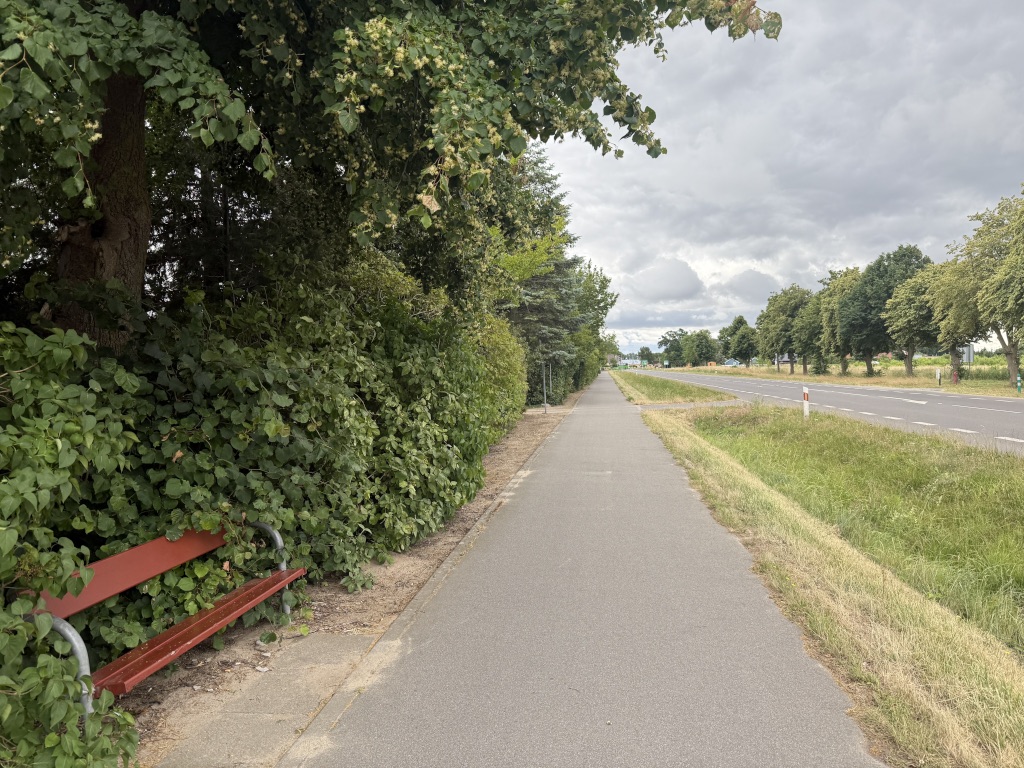 Ścieżka rowerowo/piesza Wrzosowo-Dziwnówek połączona z trasą rowerową Velo Baltica (EuroVelo 10)